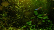 200l - Waterworld