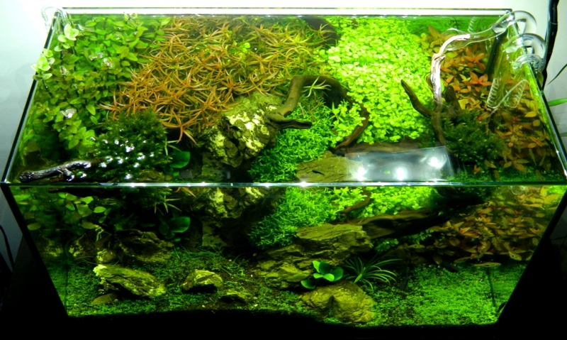 DSCN1528.JPG