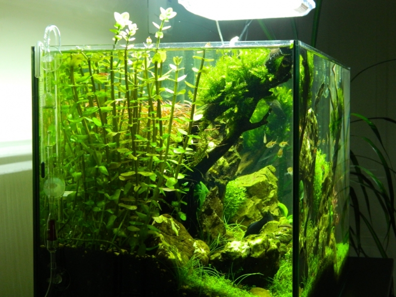 DSCN1524.JPG