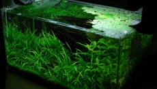 60l -  mardow - No.3