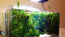 130l - BLUE MONDAY