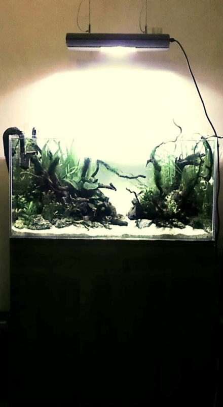 IMAG0483-1.jpg