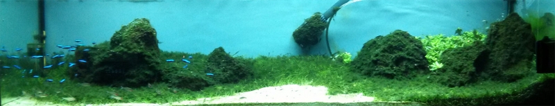 akwa.jpg