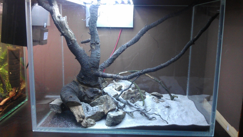 IMAG0324_800x451.jpg