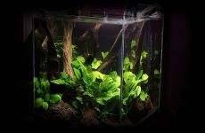 30l - Cube in Nature