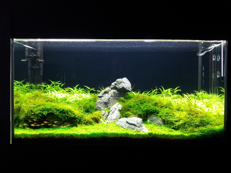 20130523_181116.jpg