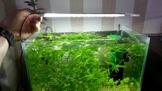 [DIY] Lampa wzorowana na ADA Aquasky