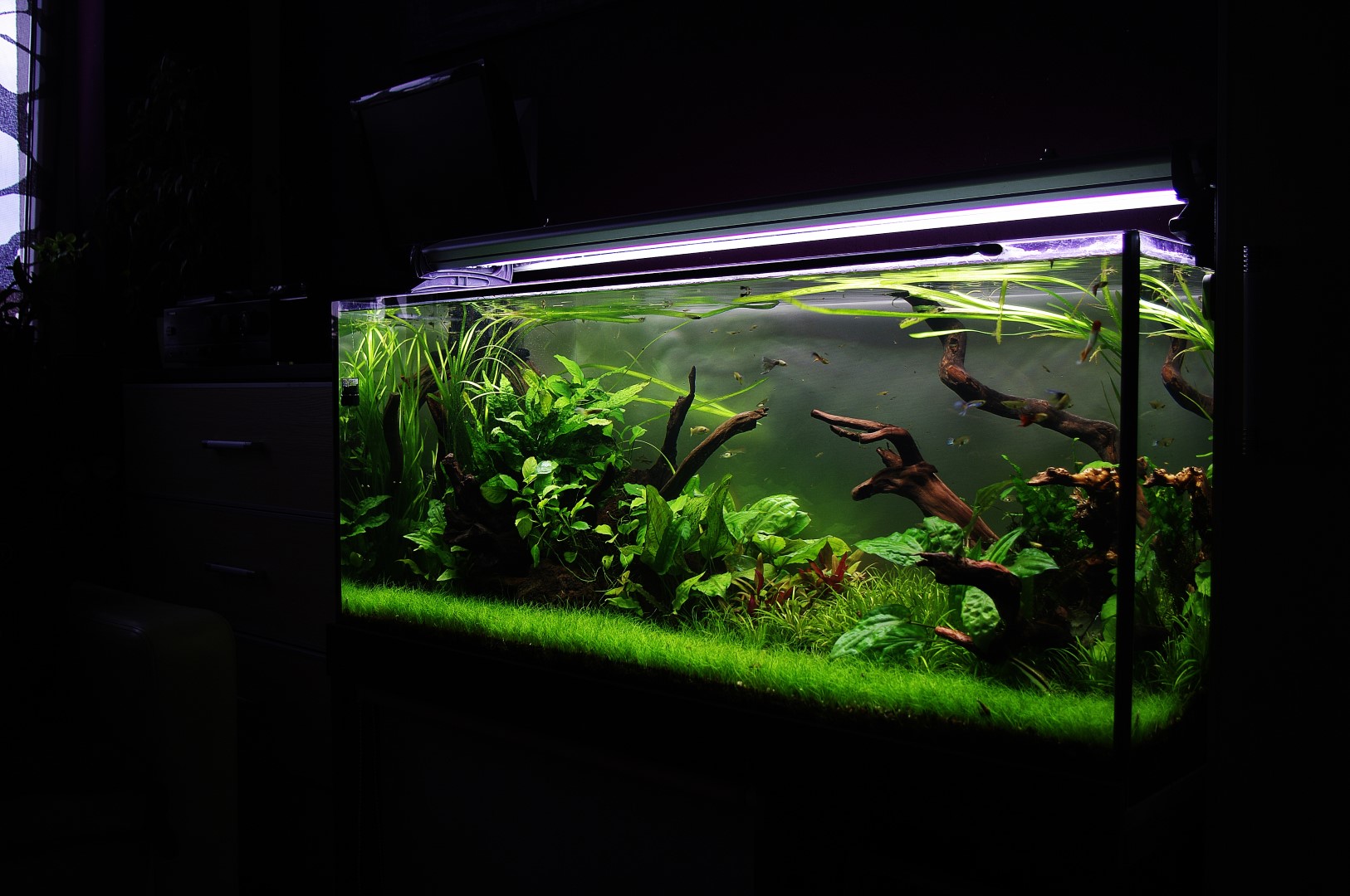 1 (Large).JPG