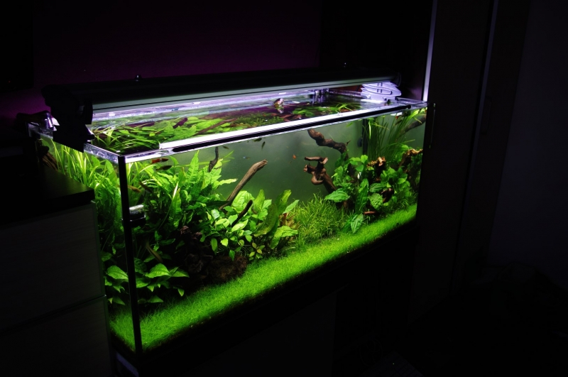 2 (Large).JPG