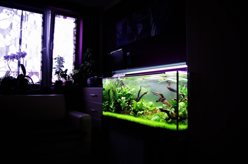 6 (Large).JPG