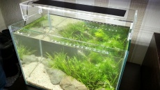[DIY] Lampa wzorowana na ADA Aquasky