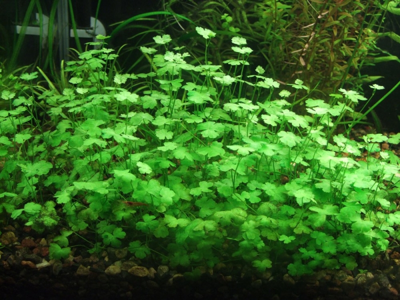 DSCF7890.JPG