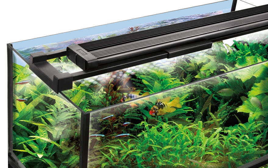 fluval1-1.jpg