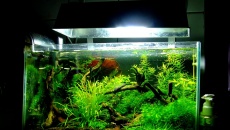 23l - Biurkowe