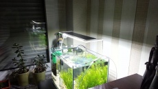 [DIY] Lampa wzorowana ADA Aquasky v.2