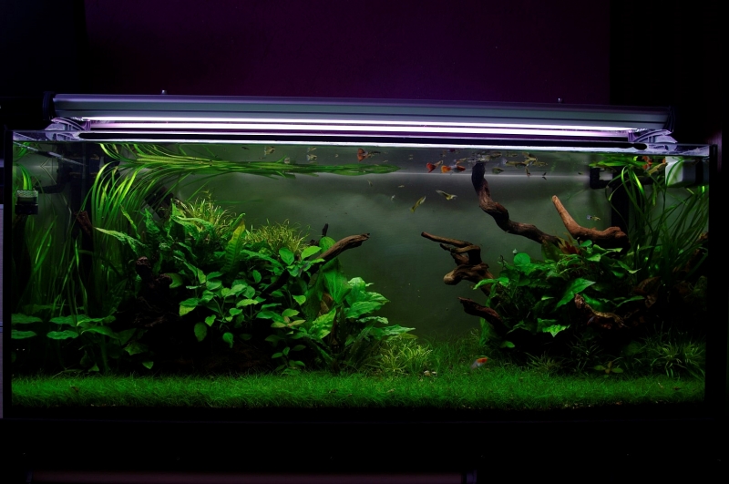_IGP4344.JPG