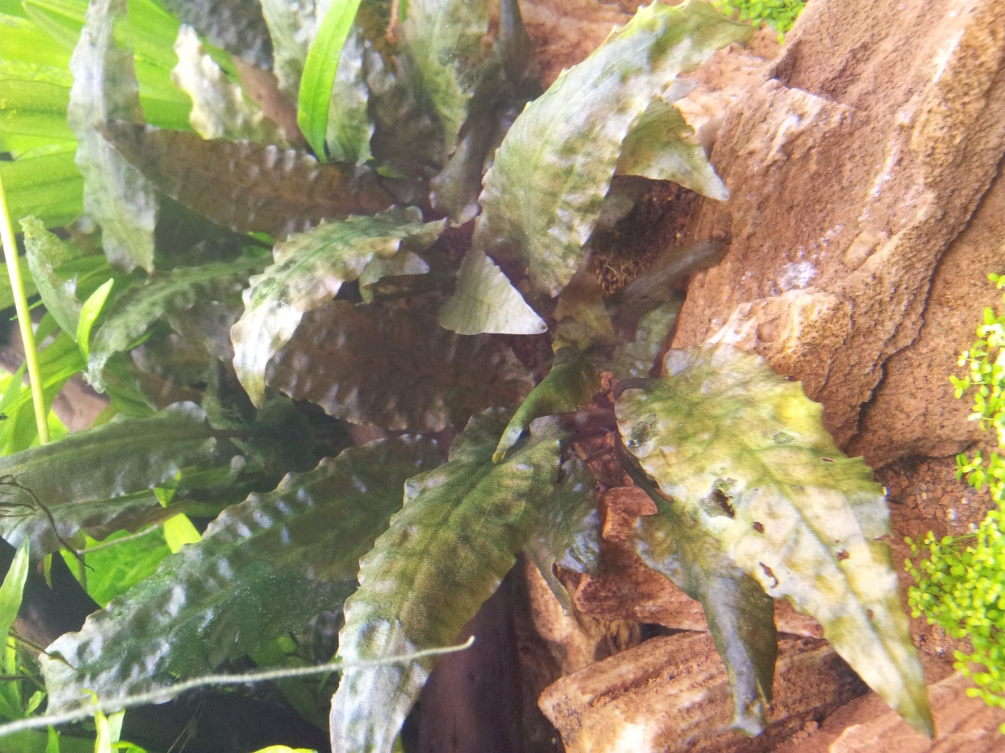 20130725_085609.jpg