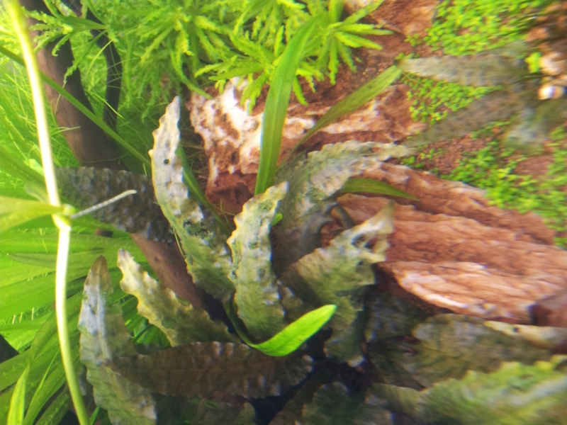 20130725_085751.jpg