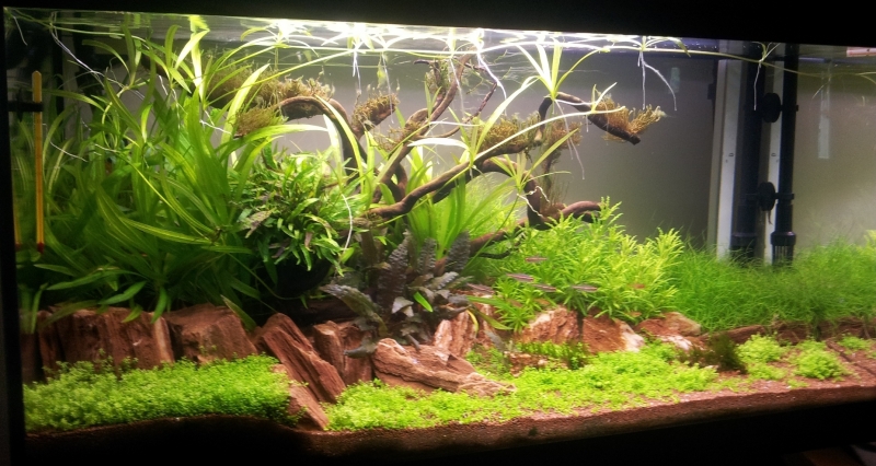 20130729_074602.jpg