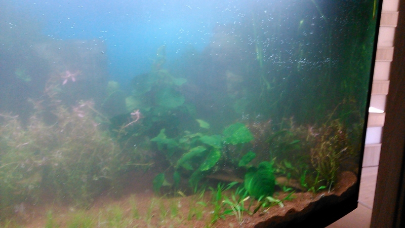DSC_0091.jpg