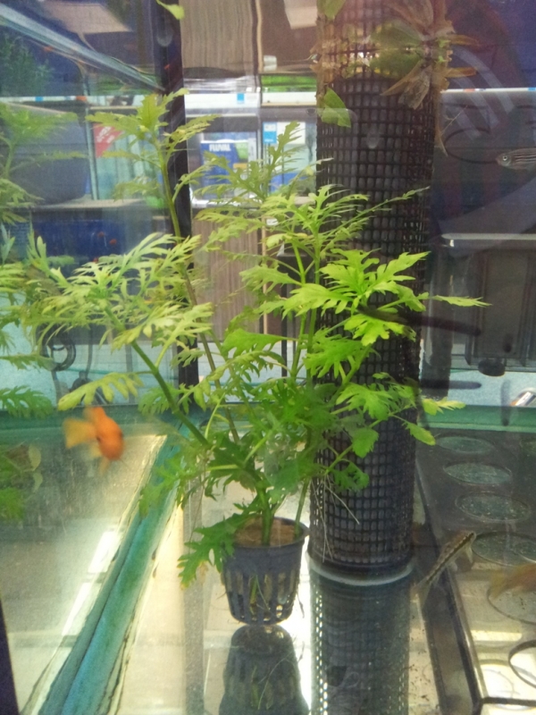 20130730_142717.jpg