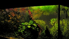 200l - Waterworld