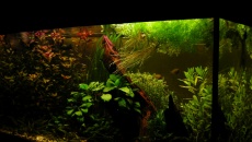 200l - Waterworld