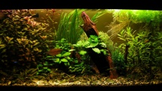 200l - Waterworld