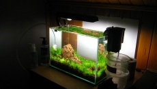 012l - first nano - Daniel Romanowski