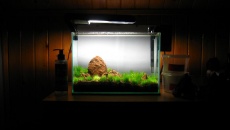 012l - first nano - Daniel Romanowski