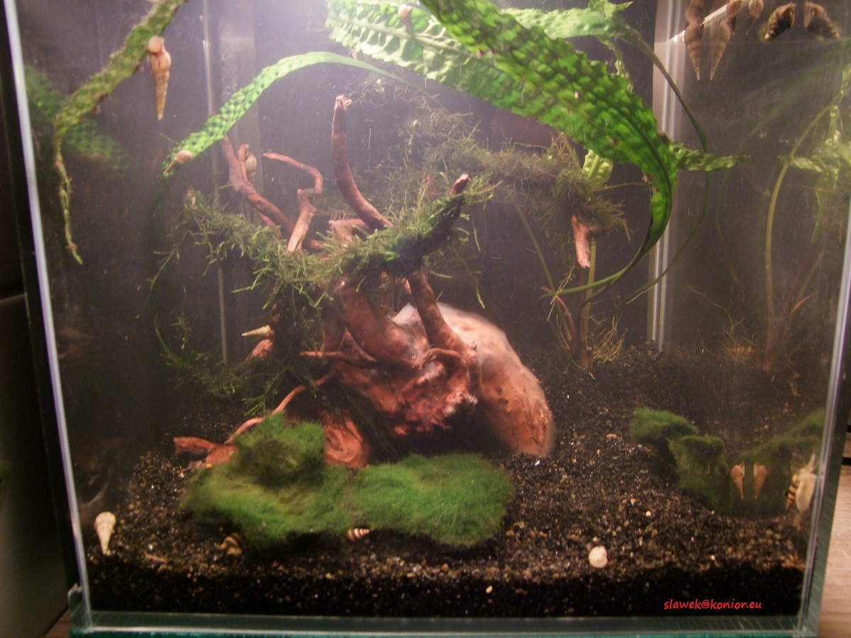 DSCF0503.JPG