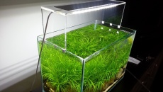 [DIY] Lampa wzorowana ADA Aquasky v.2