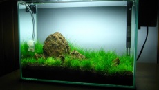 012l - first nano - Daniel Romanowski