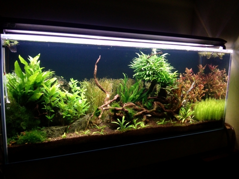 CAM00812.jpg