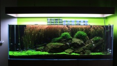 300l - Ragwork - marian_92