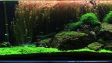 300l - Ragwork - marian_92