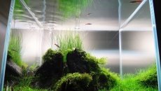 CUBE 2 - salonowy