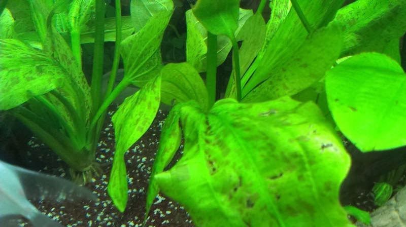 IMAG0263.jpg
