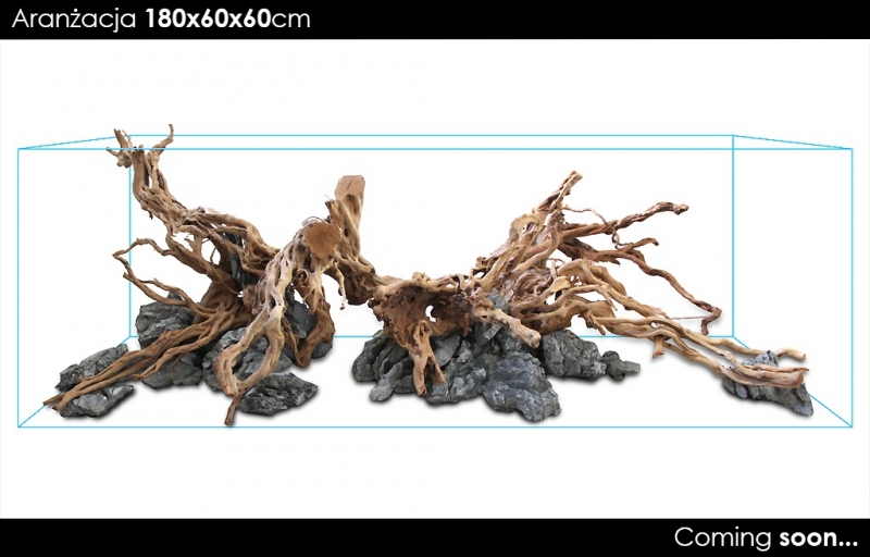 180x60x60hcm.jpg
