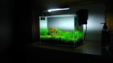 012l - first nano - Daniel Romanowski