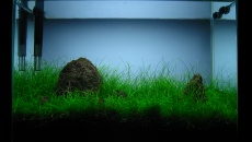 012l - first nano - Daniel Romanowski