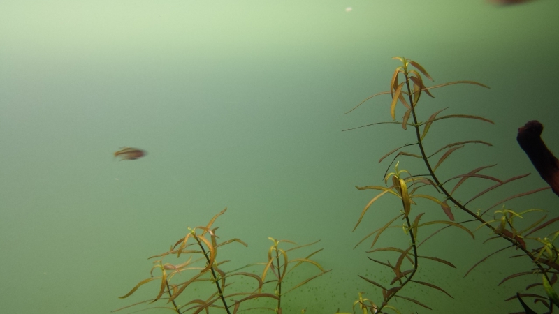 20130925_130938.jpg