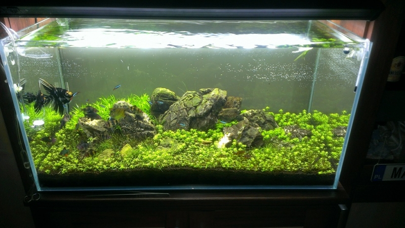 IMAG0123.jpg