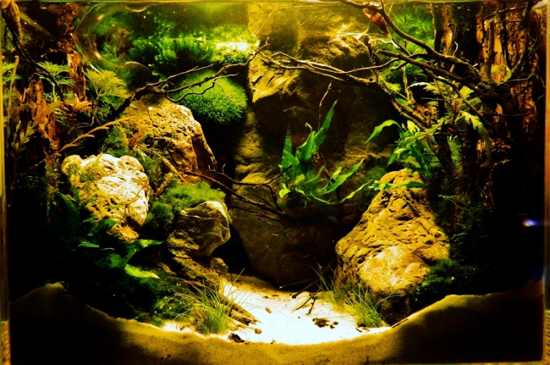 aqua 006.JPG