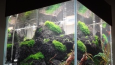 43l - salonowy cube 3