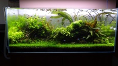 300l A New beggining