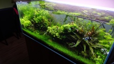 300l A New beggining
