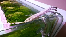 300l A New beggining