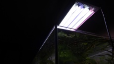 300l A New beggining