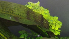 300l A New beggining